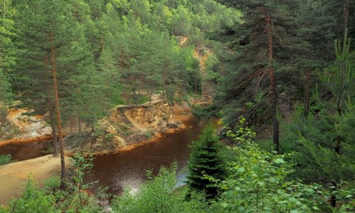 Zdjecie POLSKA / Dolny lsk / Rudawski Park Krajobrazowy / Kolorowe  Jeziorka: Purpurowe...