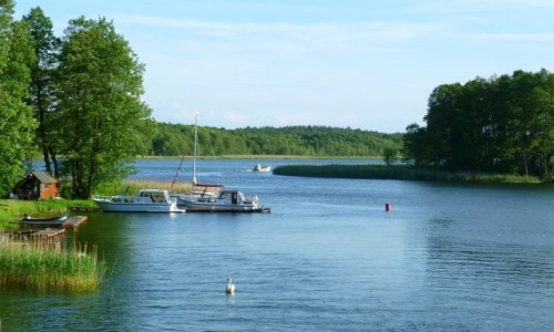 Zdjecie POLSKA / Mazury / Kula / Samotny biay...abd