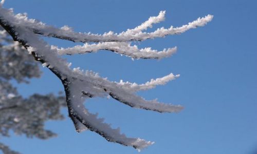 Zdjecie POLSKA / Beskid Niski / Bartne / Zima w Bartnem