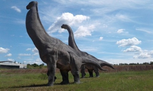 Zdjecie POLSKA / opolskie / Krasiejw / Spotkania z dinozaurami