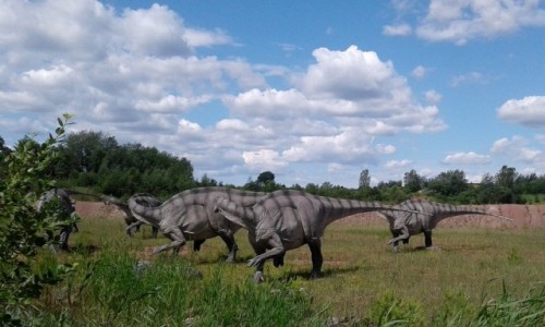 Zdjecie POLSKA / opolskie / Krasiejw / Spotkania z dinozaurami