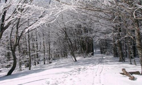 Zdjecie POLSKA / Beskid Niski / Na szlaku / Zima w Beskidzie Niskim