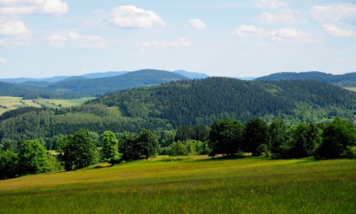 Zdjcie POLSKA / Rudawski Park Krajobrazowy / Leszczyniec / za dnia...