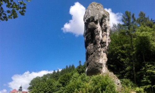 Zdjecie POLSKA / maopolska / OPN.. / maczuga Herkulesa 