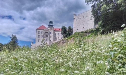 Zdjecie POLSKA / maopolska / OPN.. / Zamek  na Pieskowej Skale 
