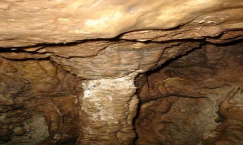 Zdjęcie POLSKA / Kielce / Rezerwat Kadzielnia / Kolumna w Jaskinii Jeleniowskiej