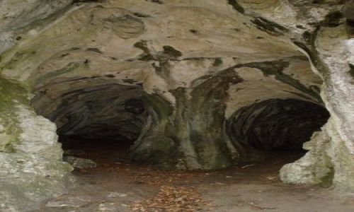 Zdj�cie POLSKA / Jura Krakowsko-Cz�stochowska / Na szlaku Orlich Gniazd / Jaskinia Ostr�nicka