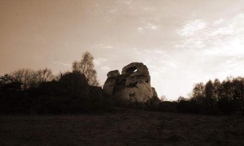 Zdj�cie POLSKA / Jura Krakowsko-Cz�stochowska / Na szlaku Orlich Gniazd / Okiennik Wielki