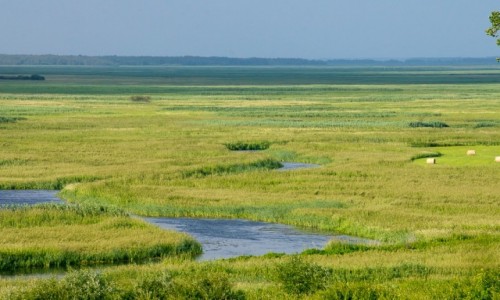 Zdjecie POLSKA / Podlasie / nad Biebrz/ Gonidz / Za chwil poleje