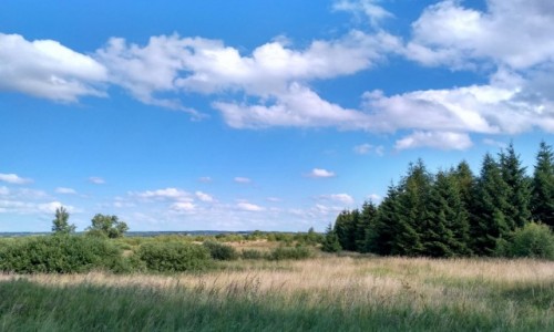 Zdjecie POLSKA / Warmia / Wilimy / malownicza Warmia...