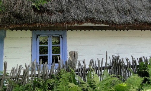 POLSKA / Podlasie / Nowoberezowo / Pozdrowienia z Podlasia - Nowoberezowo 