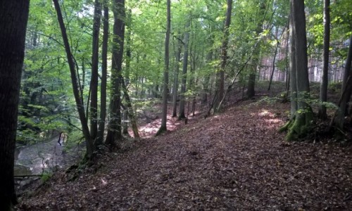 Zdjęcie POLSKA / Lubuskie / Brzezniczanka / ICAN4x4