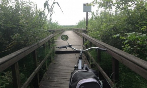 Zdjęcie POLSKA / Lubelszczyzna / PPN / Poleski Park Narodowy.