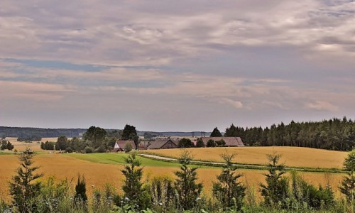 Zdjcie POLSKA / wojewdztwo podlaskie / Bohoniki / Na tatarskim szlaku-wie Bohoniki