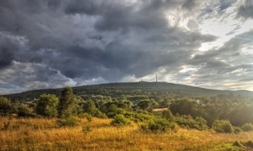 Zdjecie POLSKA / witokrzyskie / Nowa Supia / wity krzy