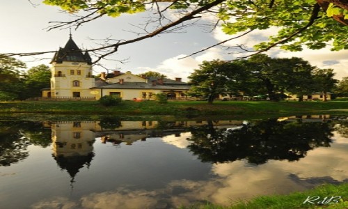 Zdjcie POLSKA / podkarpackie / Olszanica / Pac na wodzie