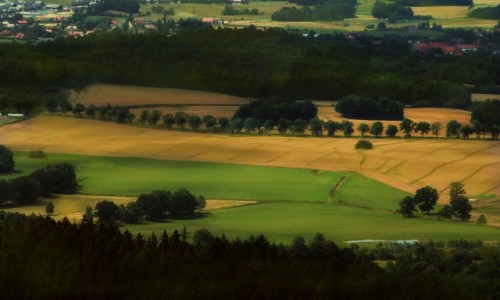 Zdjecie POLSKA / Dolny lsk / Gry Sokole / Z Sokolika