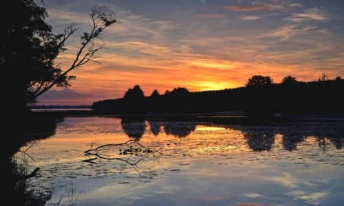 Zdjcie POLSKA / Mazowsze / NAREW / Wieczorne marzenia...