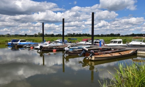 Zdjecie POLSKA / woj. lubelskie / Kazimierz Dolny / Port jachtowy w Kazimierzu nad Wis