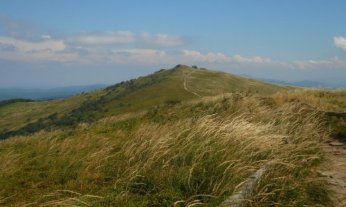Zdjecie POLSKA / - / Bieszczady / pooniny