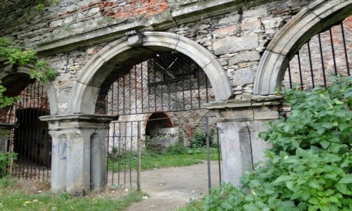 Zdjęcie POLSKA / świętokrzyskie / Podzamcze Piekoszowskie. / Świętokrzyskie ciekawostki.