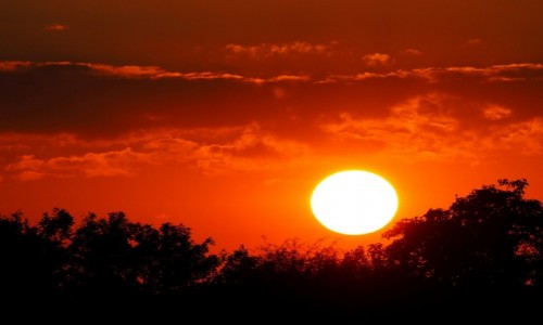Zdjęcie POLSKA / Mazowieckie / okolice Otwocka / Zachód słońca