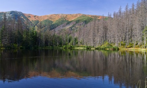Zdjecie POLSKA / Tatry / Dolina Kocieliska / Staw Smreczyski i Ornak