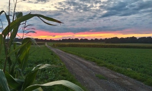 Zdjcie POLSKA / dolina karpia  / maopolska / droga do nieba...