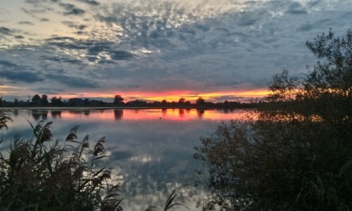 Zdjcie POLSKA / dolina karpia  / maopolska / zachd nad stawem..