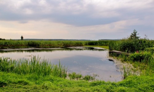 Zdjęcie POLSKA / województwo podlaskie / Pentowo / Pentowo