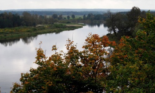 Zdjcie POLSKA / Podlasie / Drohiczyn / Widok na rzek