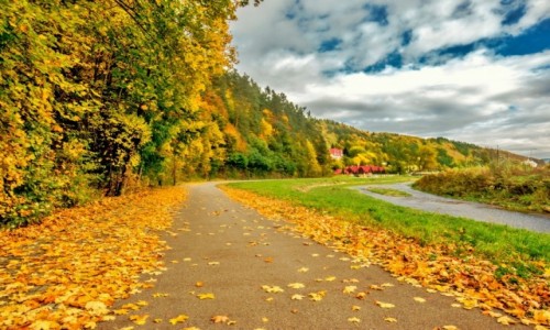 Zdjecie POLSKA / Beskid Sdecki / Muszyna / nad Muszynk