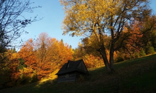 Zdj�cie POLSKA / Beskid �l�ski / Na zielonym szlaku ze Skrzycznego / Jesie� w g�rach