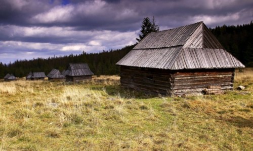 Zdjcie POLSKA / Zakopane / Polana Kopieniec  /  Drewniane szaasy pasterskie
