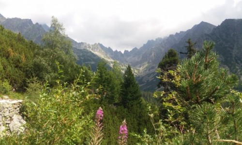 Zdjecie SOWACJA / Tatry Sowackie / W drodze nad Popradzki Staw / Widok na Dolin Zomisk