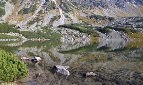 Zdjcie POLSKA / Tatry Wysokie / Dolina Piciu Staww Polskich / Przedni Staw Polski