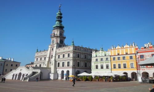 Zdjecie POLSKA / Wyyna Lubelska / Zamo / Pera renesansu