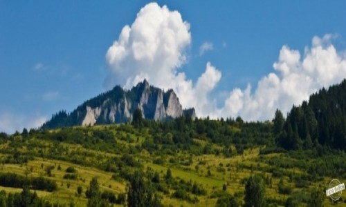 Zdjecie POLSKA / - / Pieniny / Podczas Spywu Dunajcem