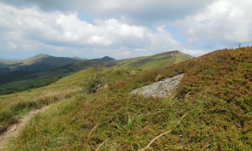 Zdjecie POLSKA / Bieszczady / W drodze z Halicza na Tarnic / Sierpniowe Bieszczady