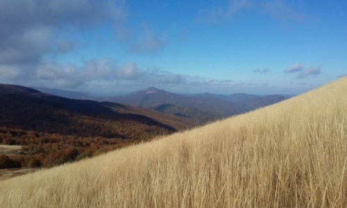 Zdjecie POLSKA / Bieszczady / w drodze na Bukowe Berdo / Nie dajesz rady, jed w Bieszczady