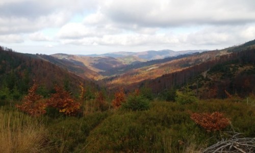 Zdjecie POLSKA / Beskid lski / Na szlaku na Skrzyczne / Jesie w grach