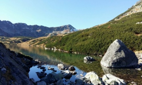 Zdjecie POLSKA / Tatry / Dolina Piciu Staww  / Zota jesie 