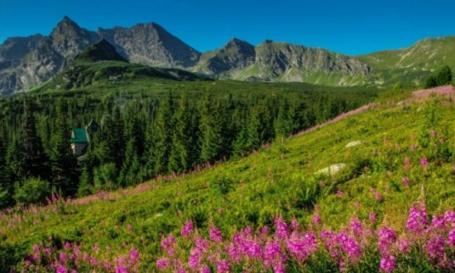 Zdjcie POLSKA / Tatry Polskie / Hala Gsienicowa / Uroki Hali Gsiencowej