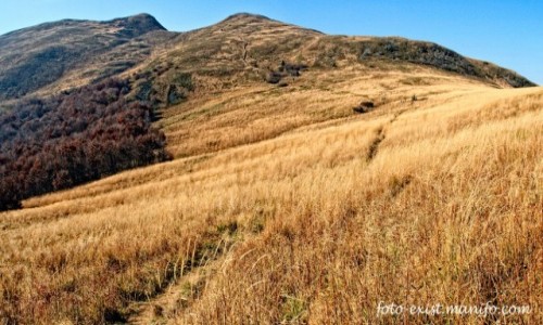 Zdjcie POLSKA / Bieszczady / Bieszczady / Tarnica