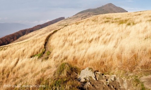 Zdjecie POLSKA / Bieszczady / Bieszczady / Poonina Caryska