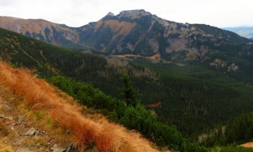 Zdjcie POLSKA / Maopolska / Tatry / w drodze na Kasprowy Wierch