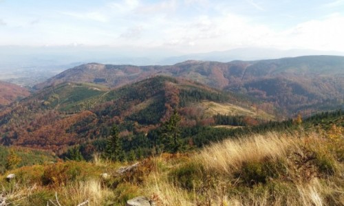 Zdjecie POLSKA / Beskid lski / Widok z Malinowskiej Skay / Jesie w grach