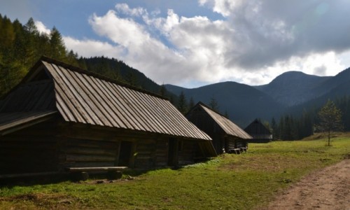 Zdjcie POLSKA / Tatry Wysokie / Polana Jaworzynka / Jaworzynka