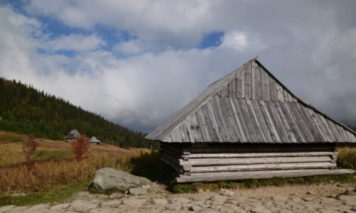 Zdjcie POLSKA / Tatry Wysokie / Dolina Gsienicowa / Krlowe Rwienki II