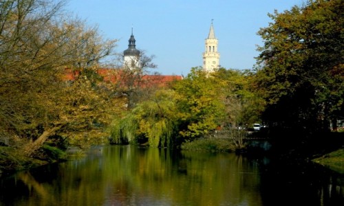 Zdjecie POLSKA / opolskie / Opole / Kawaek Opola